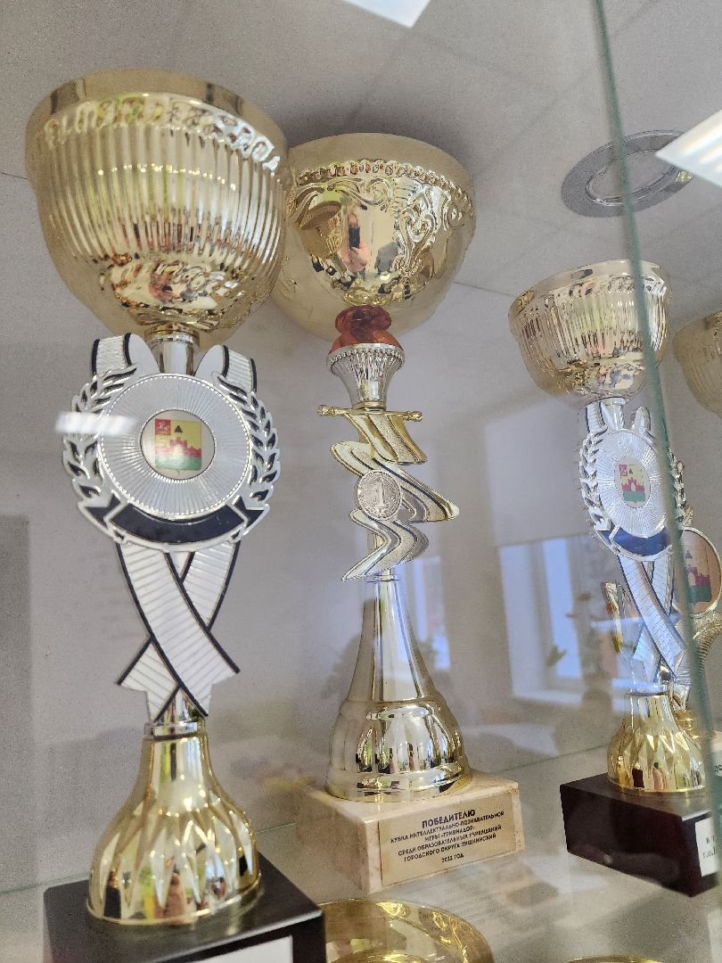 красноармейск, г.о. пушкинский, интеллектуальная игра, школьники,