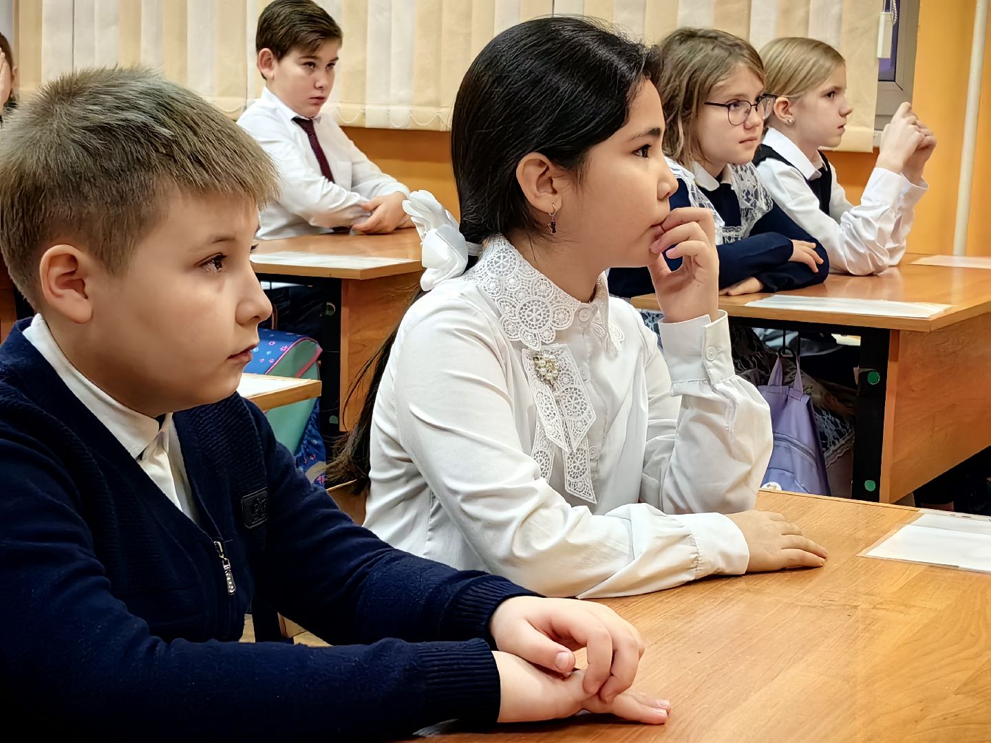 флаг россии, Конституция, Закон, права, обязанности, школа,