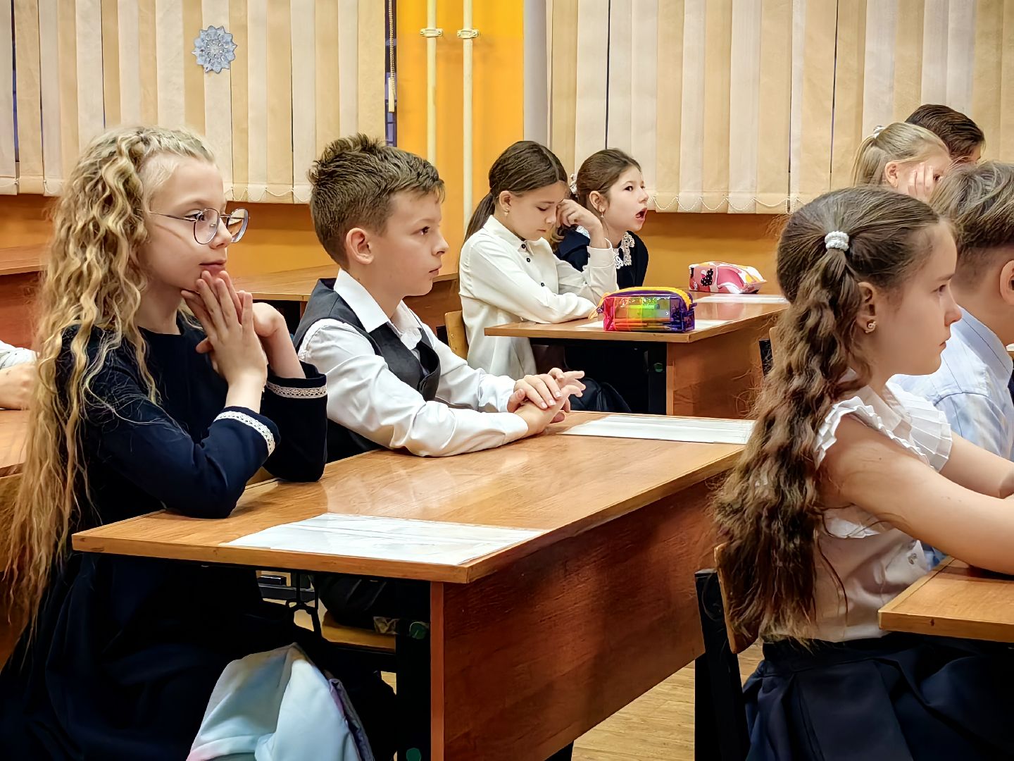 флаг россии, Конституция, Закон, права, обязанности, школа,