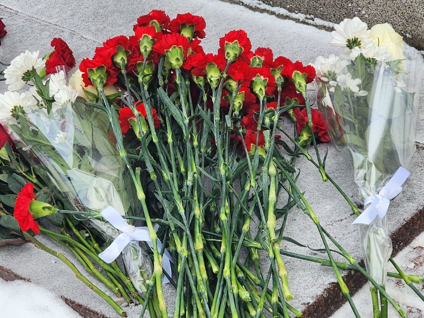 митинг, герои вов,