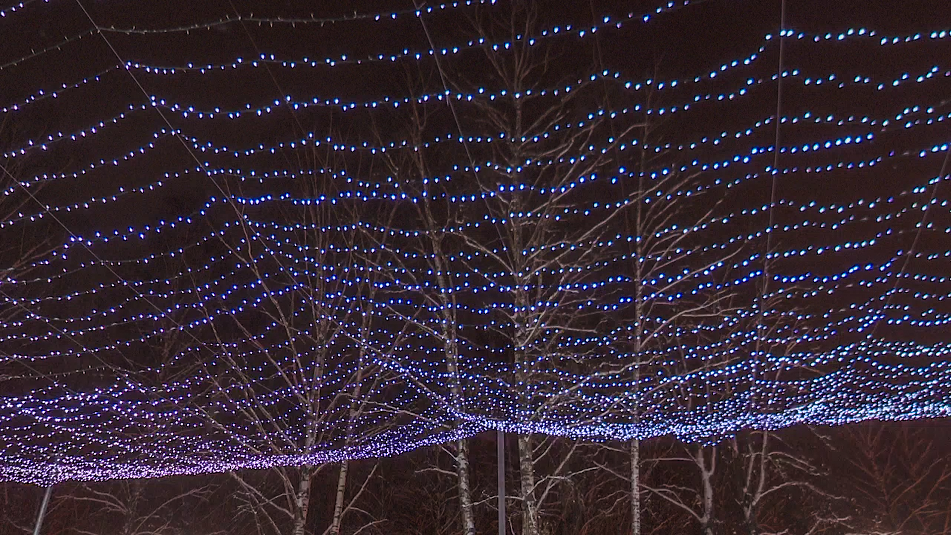 Клин, общество, каток, новый год, зима,