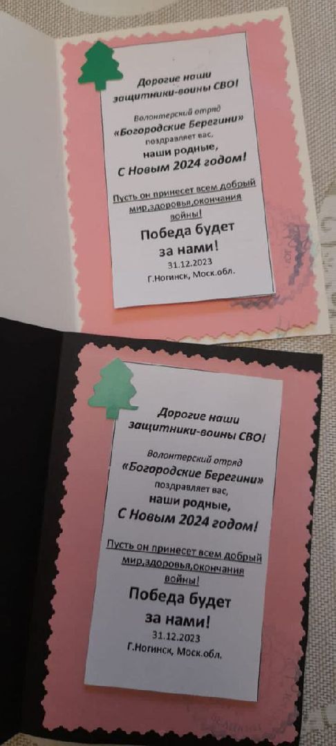 спецоперация, волонтеры, маскировочные сети, Ногинск, Богородский городской округ,