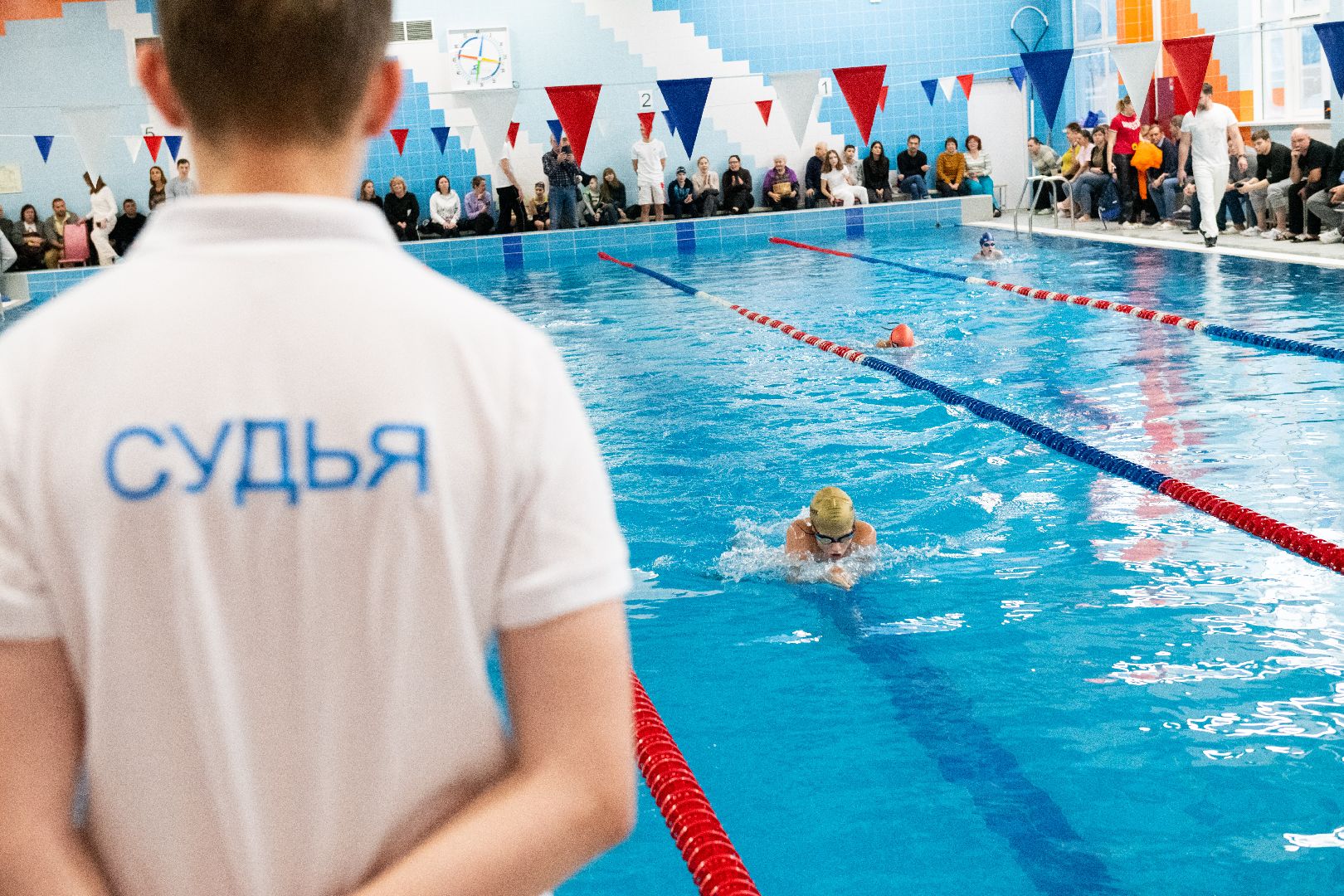 лыткарино, плавание, соревнования,