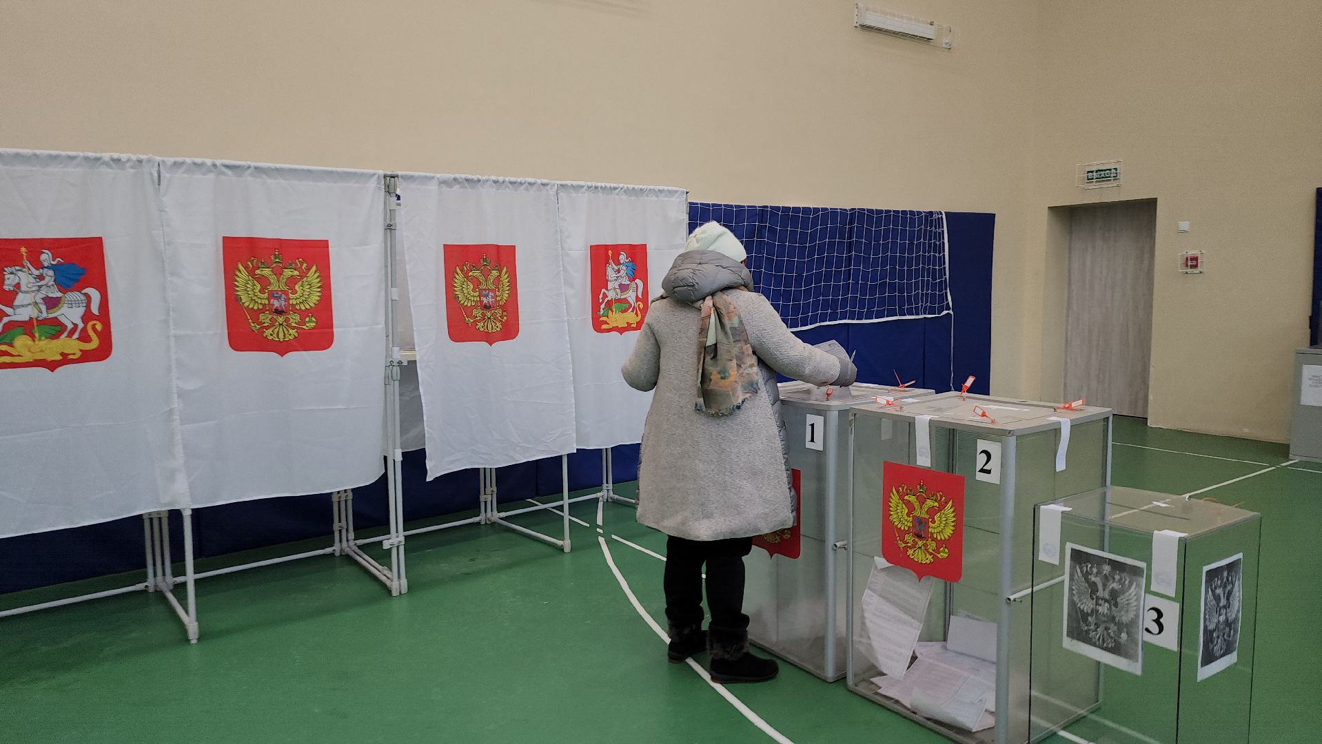 серпухов, подмосковье, выборы депутатов, глава серпухова, большой серпухов,