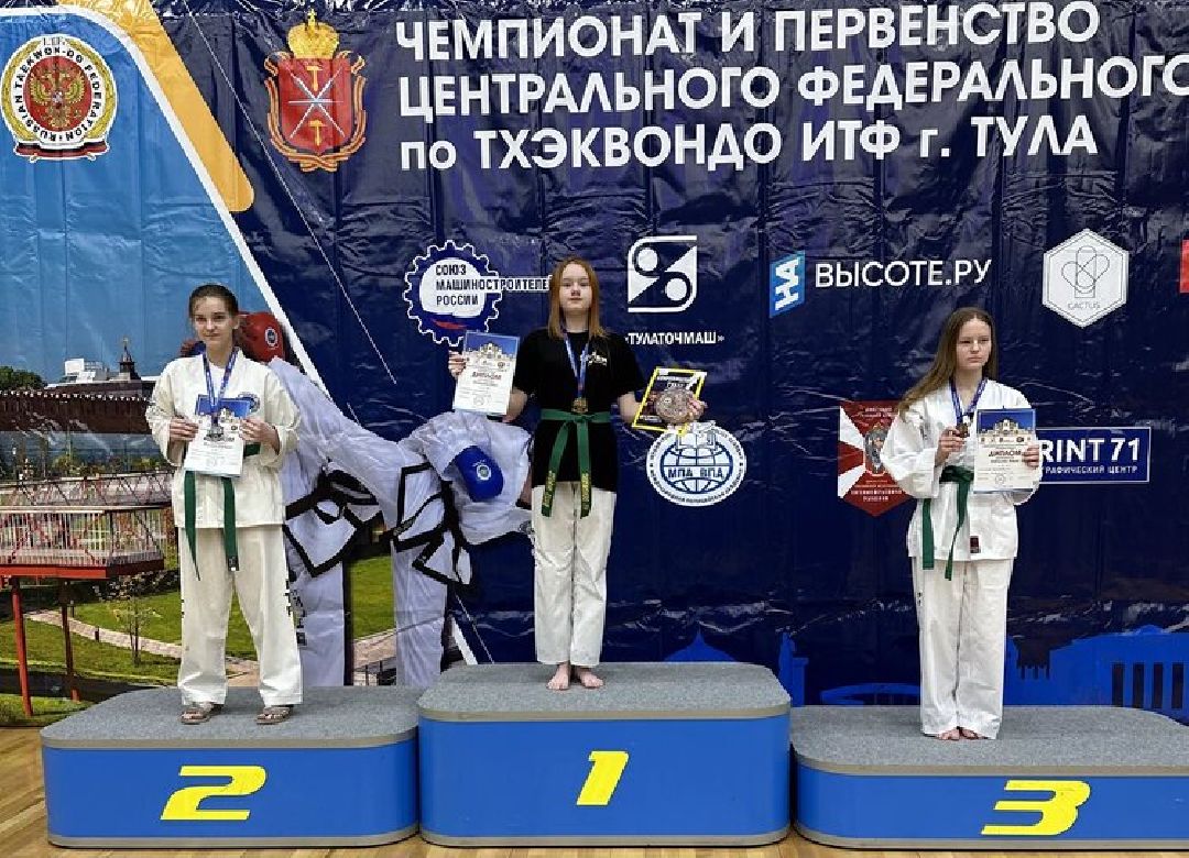 Балашиха, Подмосковье, Тхэквондо,спортивные клубы, боевые искусства, турниры