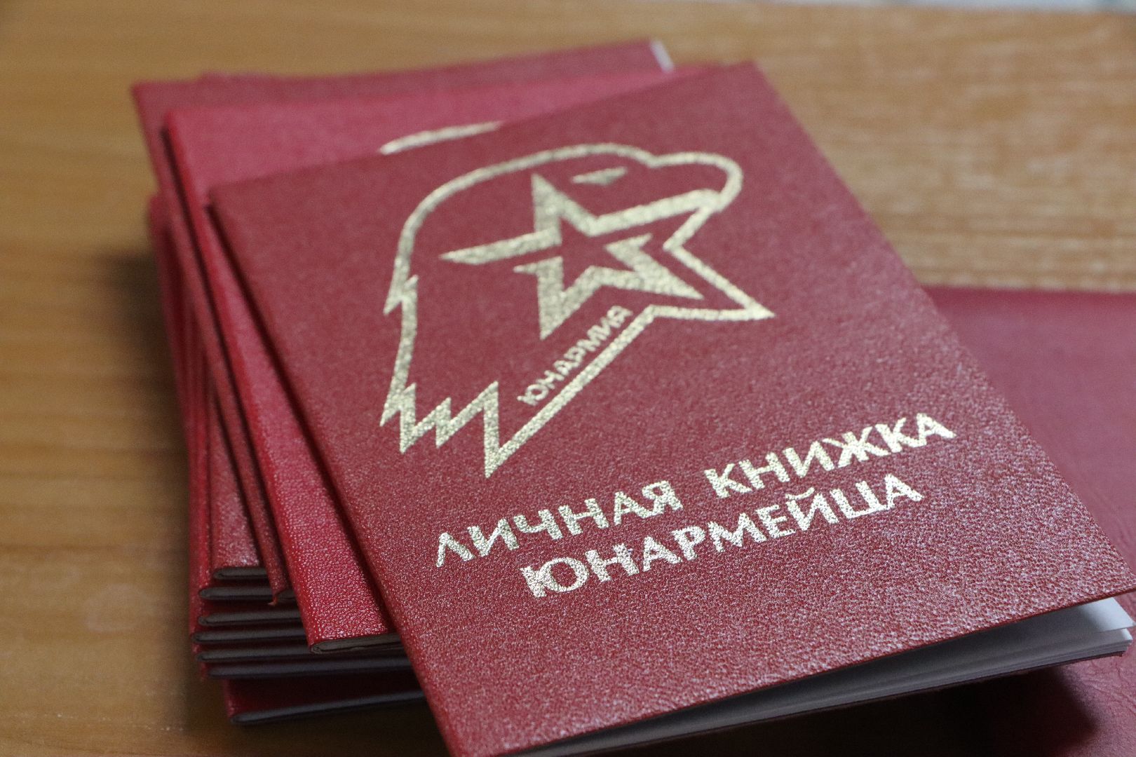 Серебряные Пруды, юнармия, юнармейцы, Клуб Патриот, ЦДК, присяга,