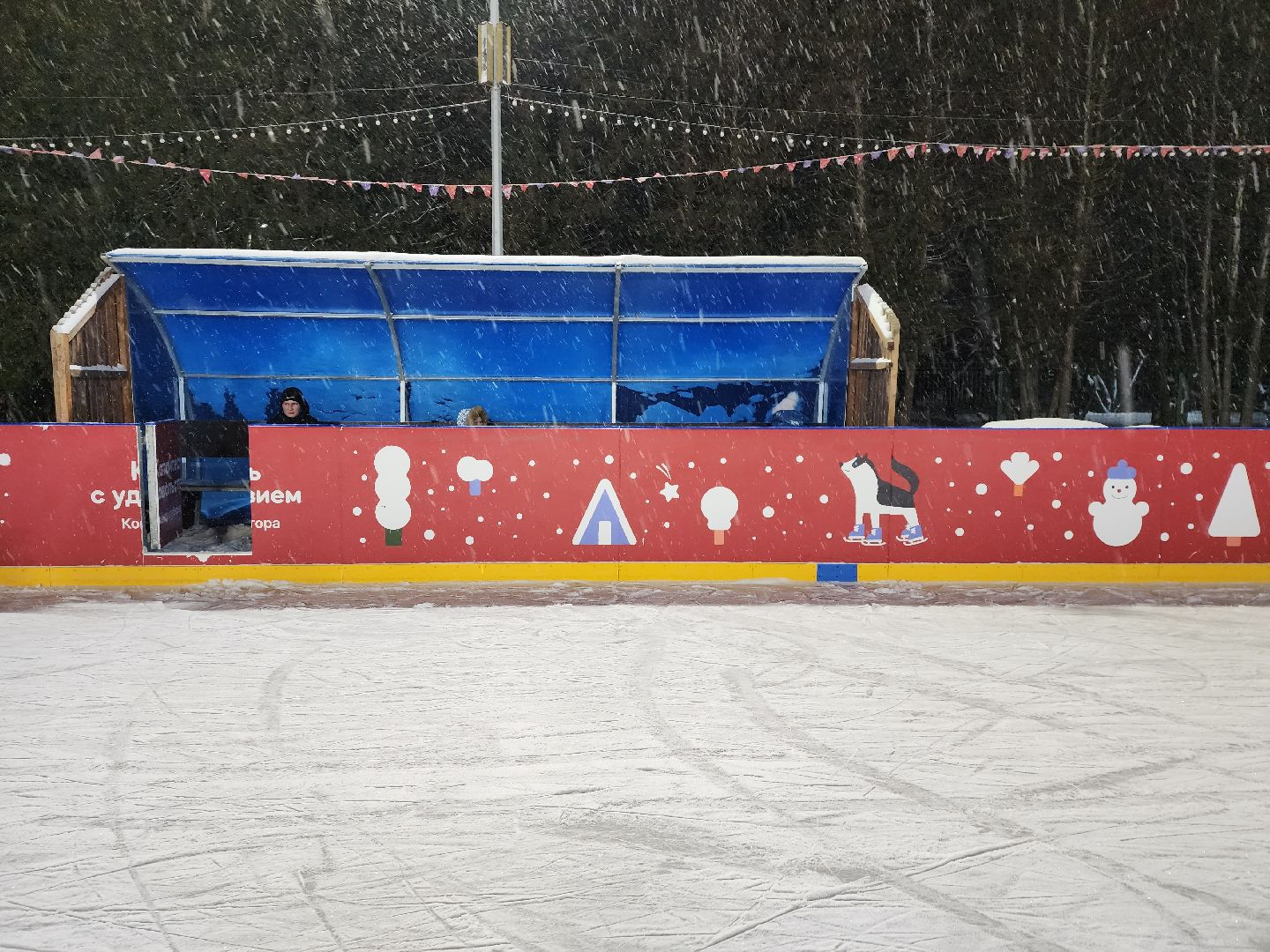 Серпухов, Подмосковье, зима в подмосковье, каток в парке, зимний досуг,