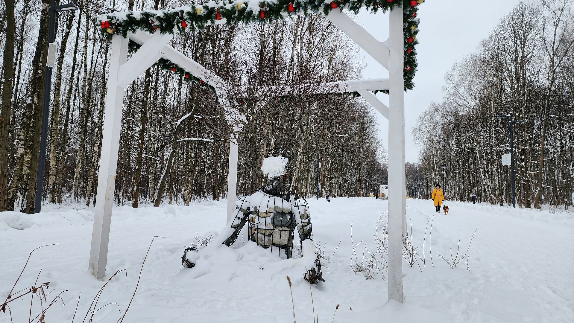 парк, лыжи, лыжня, лыжник, каток, каток в парке, зима, зимний сезон, зимний отдых,