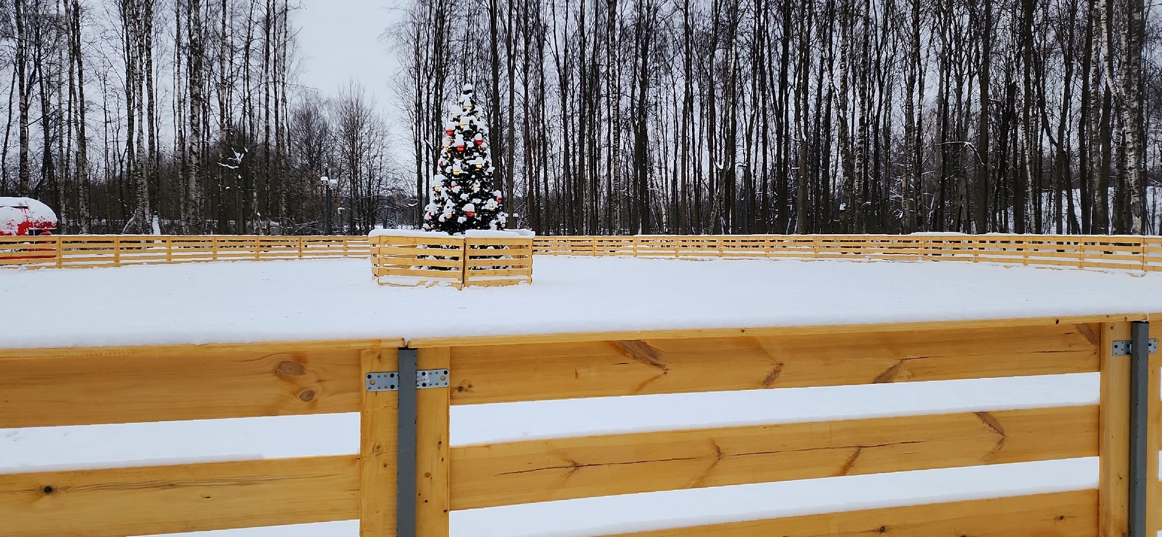 парк, лыжи, лыжня, лыжник, каток, каток в парке, зима, зимний сезон, зимний отдых,