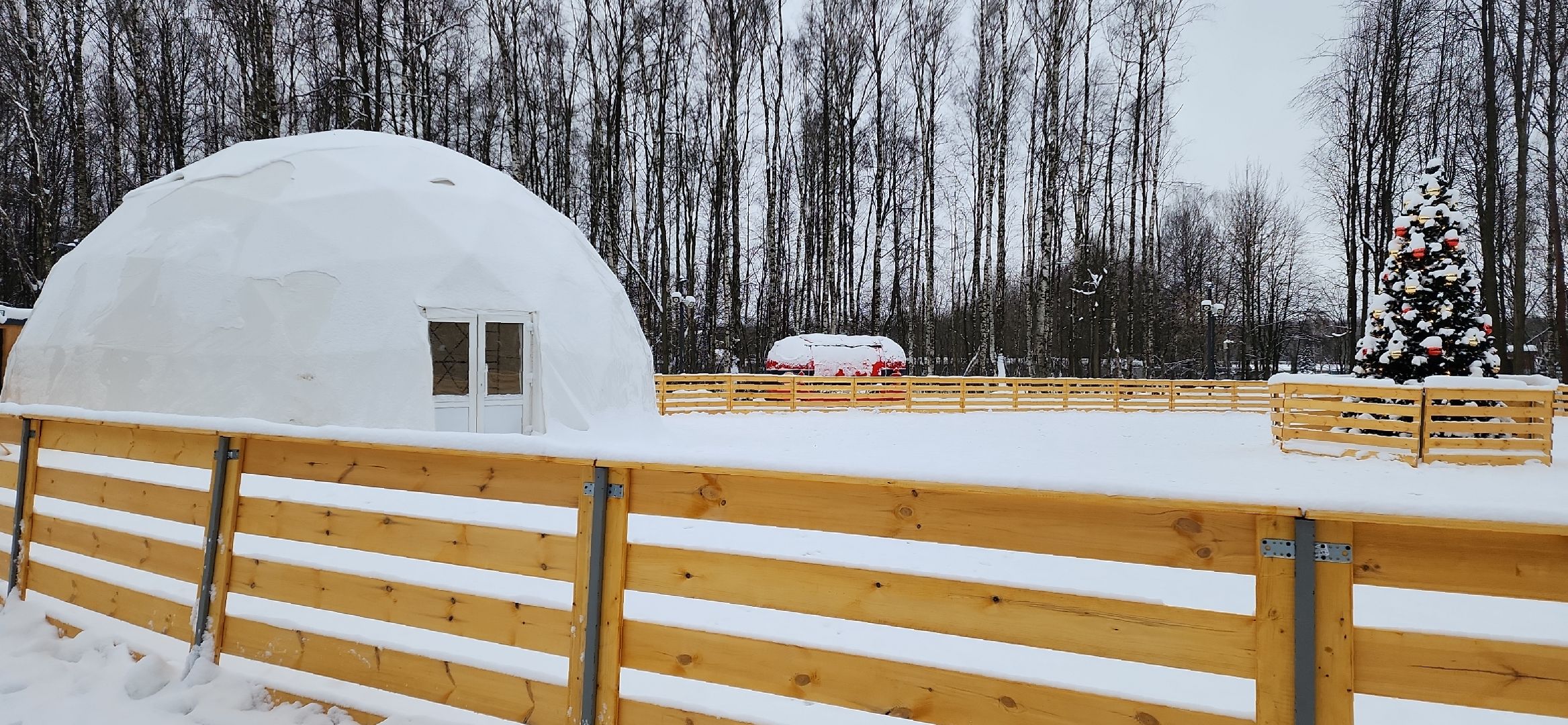парк, лыжи, лыжня, лыжник, каток, каток в парке, зима, зимний сезон, зимний отдых,
