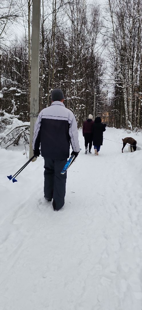 парк, лыжи, лыжня, лыжник, каток, каток в парке, зима, зимний сезон, зимний отдых,