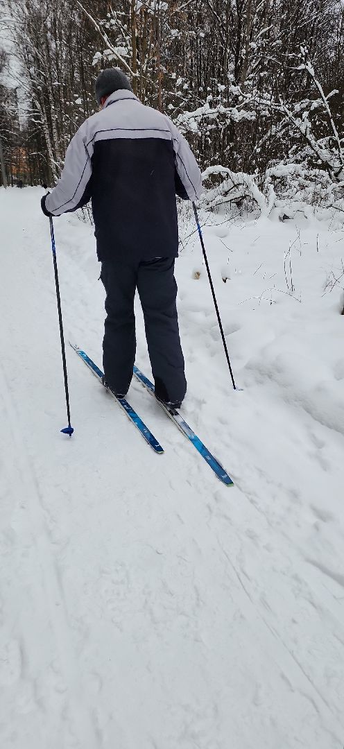 парк, лыжи, лыжня, лыжник, каток, каток в парке, зима, зимний сезон, зимний отдых,
