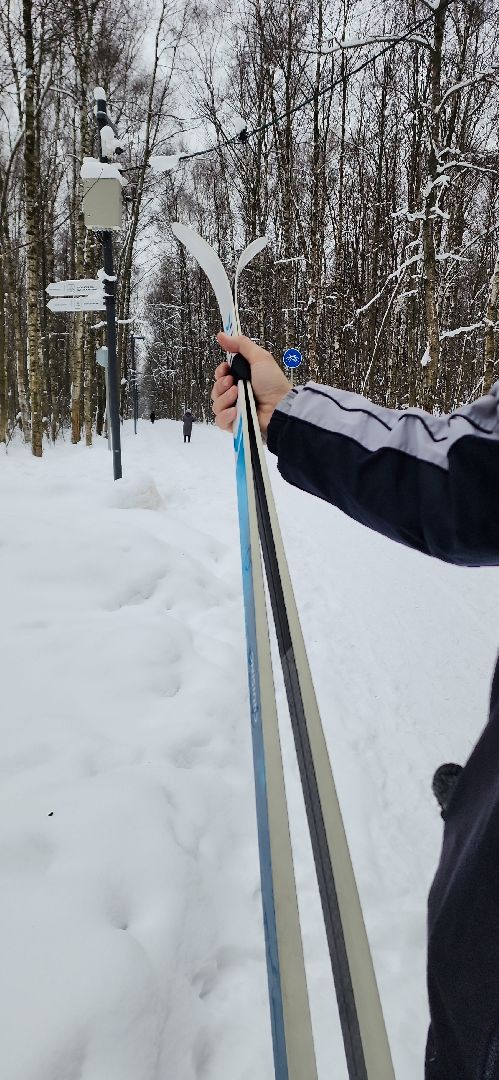 парк, лыжи, лыжня, лыжник, каток, каток в парке, зима, зимний сезон, зимний отдых,