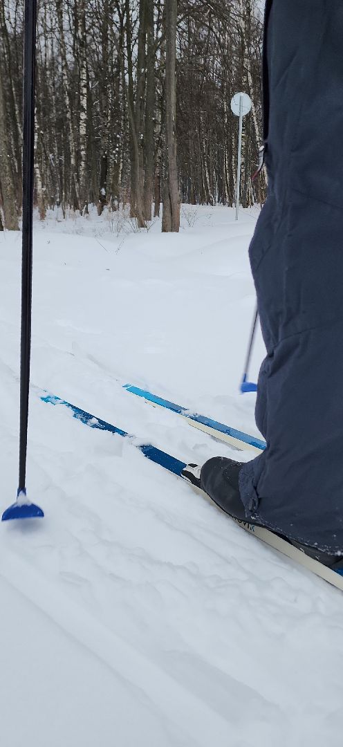 парк, лыжи, лыжня, лыжник, каток, каток в парке, зима, зимний сезон, зимний отдых,