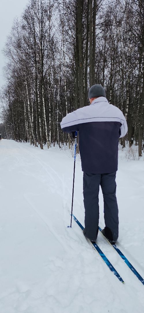 парк, лыжи, лыжня, лыжник, каток, каток в парке, зима, зимний сезон, зимний отдых,