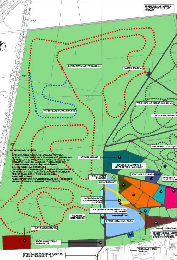 парк, лыжи, лыжня, лыжник, каток, каток в парке, зима, зимний сезон, зимний отдых,
