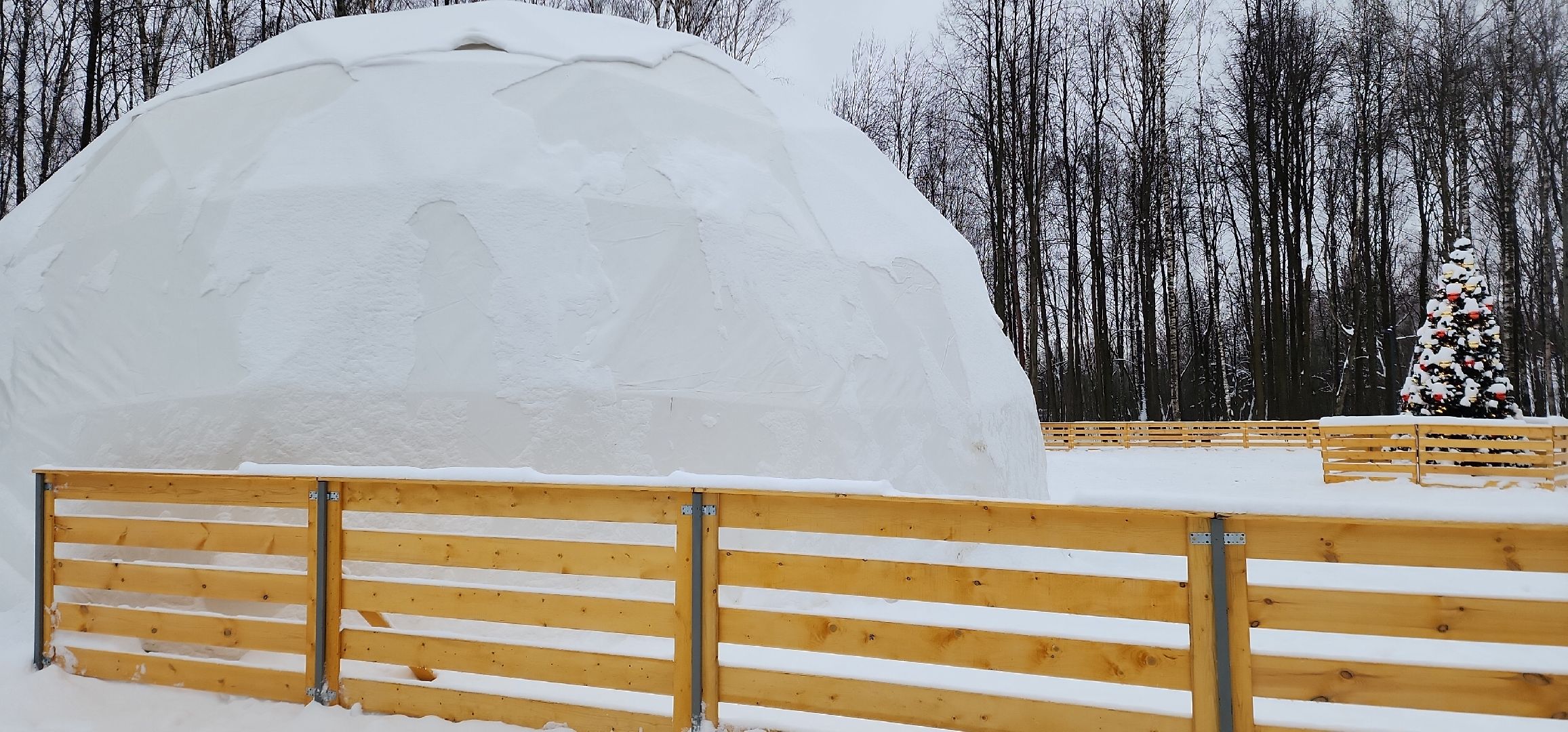 парк, лыжи, лыжня, лыжник, каток, каток в парке, зима, зимний сезон, зимний отдых,