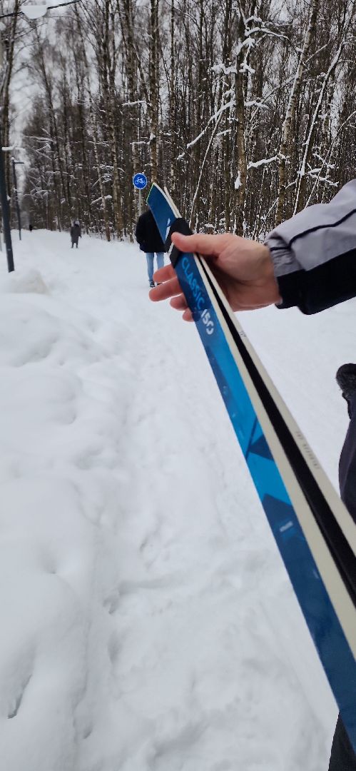 парк, лыжи, лыжня, лыжник, каток, каток в парке, зима, зимний сезон, зимний отдых,