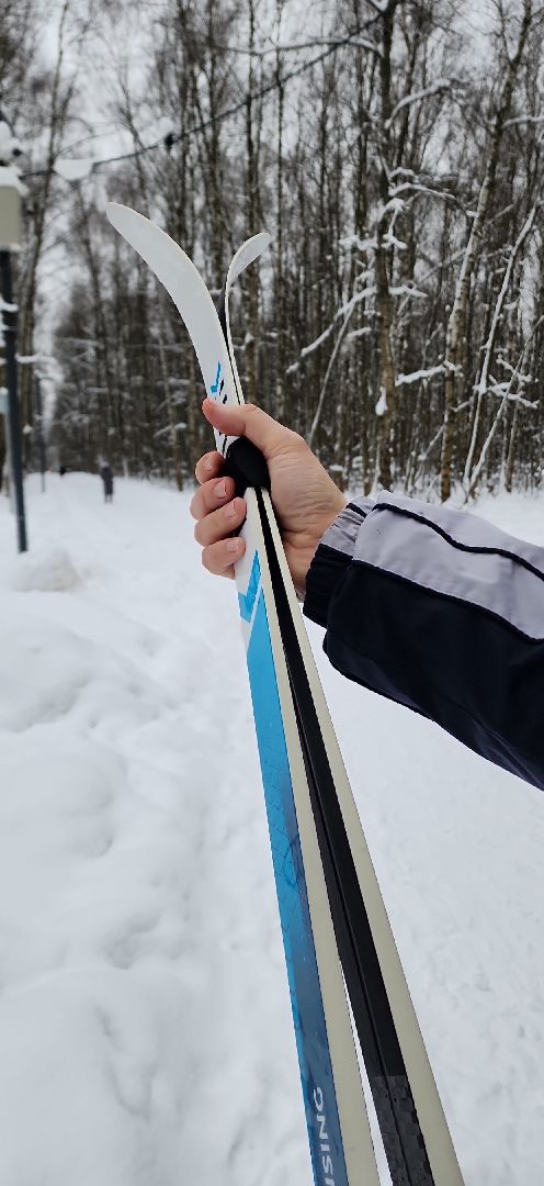 парк, лыжи, лыжня, лыжник, каток, каток в парке, зима, зимний сезон, зимний отдых,