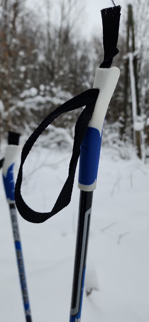 парк, лыжи, лыжня, лыжник, каток, каток в парке, зима, зимний сезон, зимний отдых,