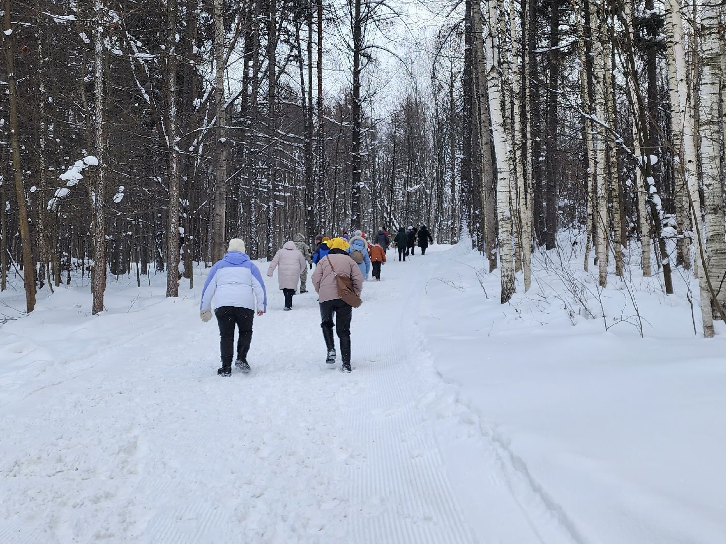 химки, спорт, инвалиды, благо, новый год, дед мороз, эстафеты,