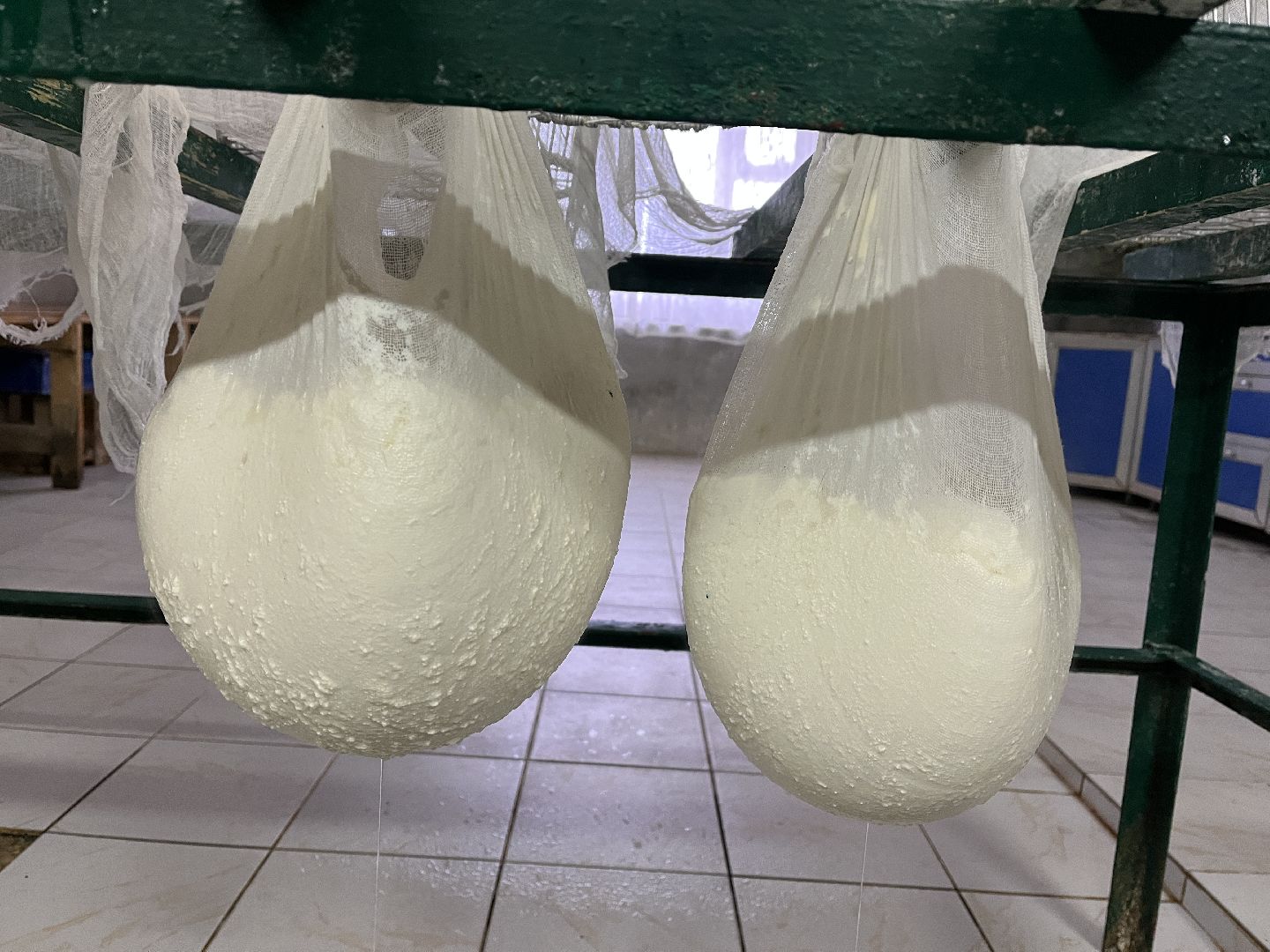 Волоколамск, фермер, Фермерское хозяйство,