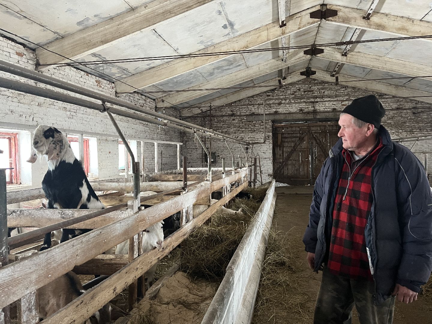 Волоколамск, фермер, Фермерское хозяйство,