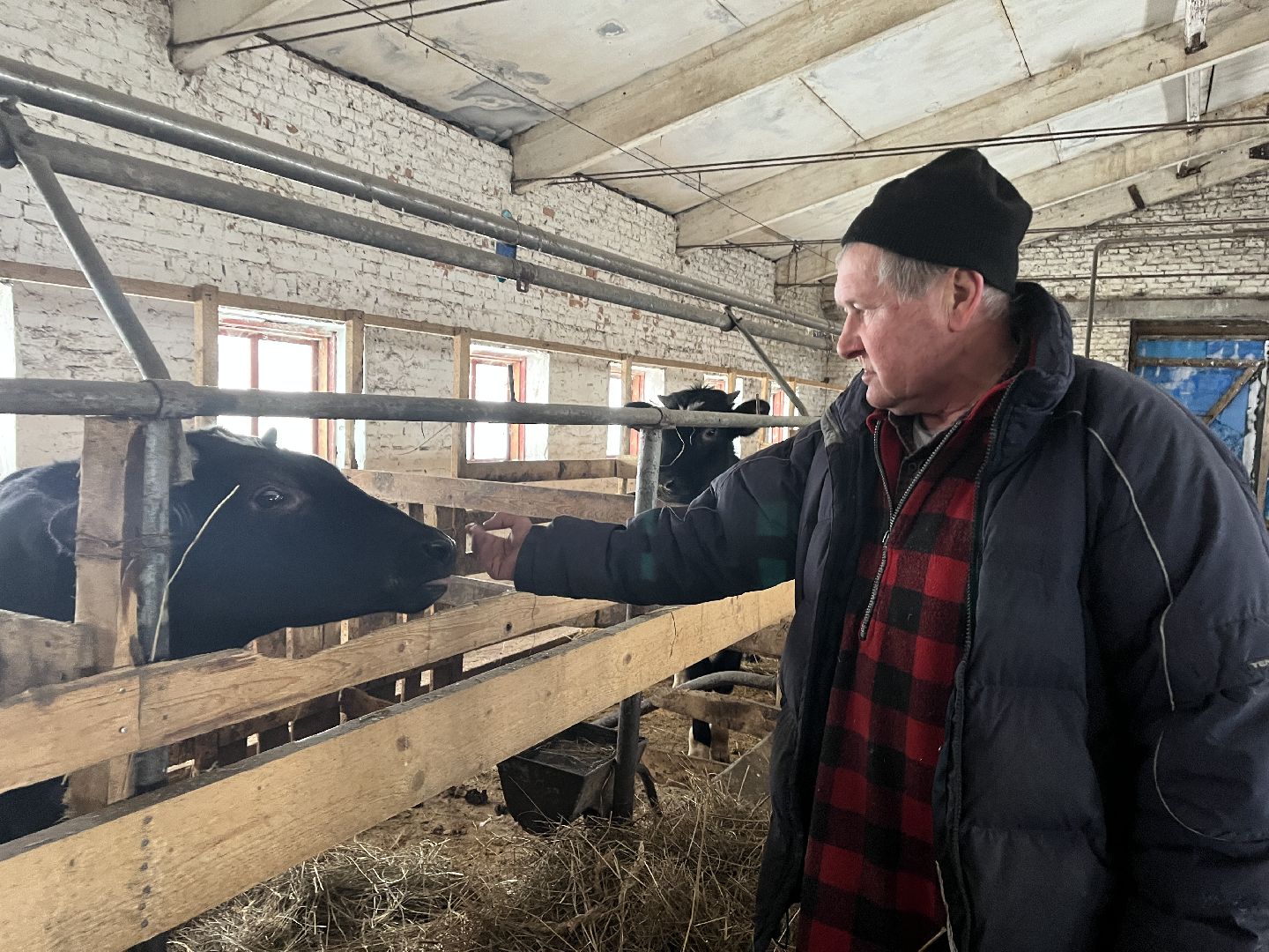 Волоколамск, фермер, Фермерское хозяйство,