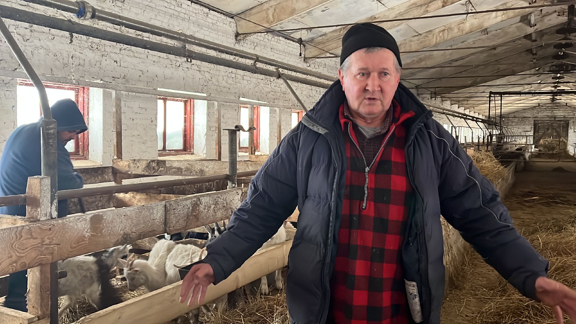 Волоколамск, фермер, Фермерское хозяйство,