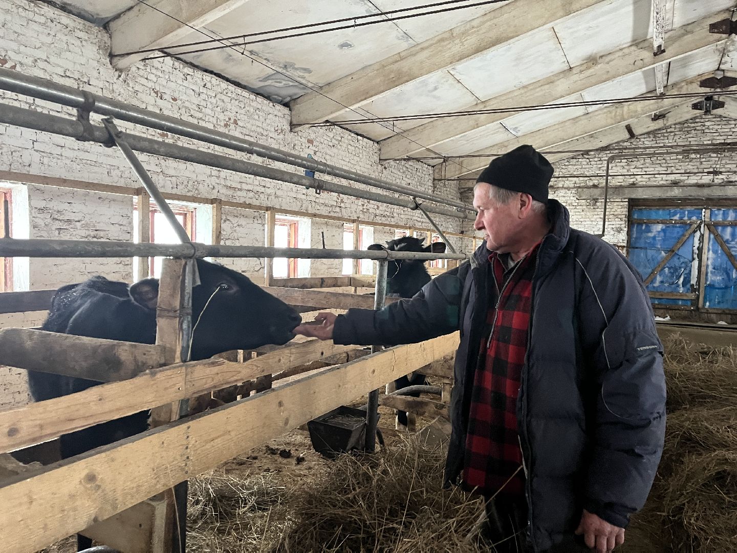 Волоколамск, фермер, Фермерское хозяйство,