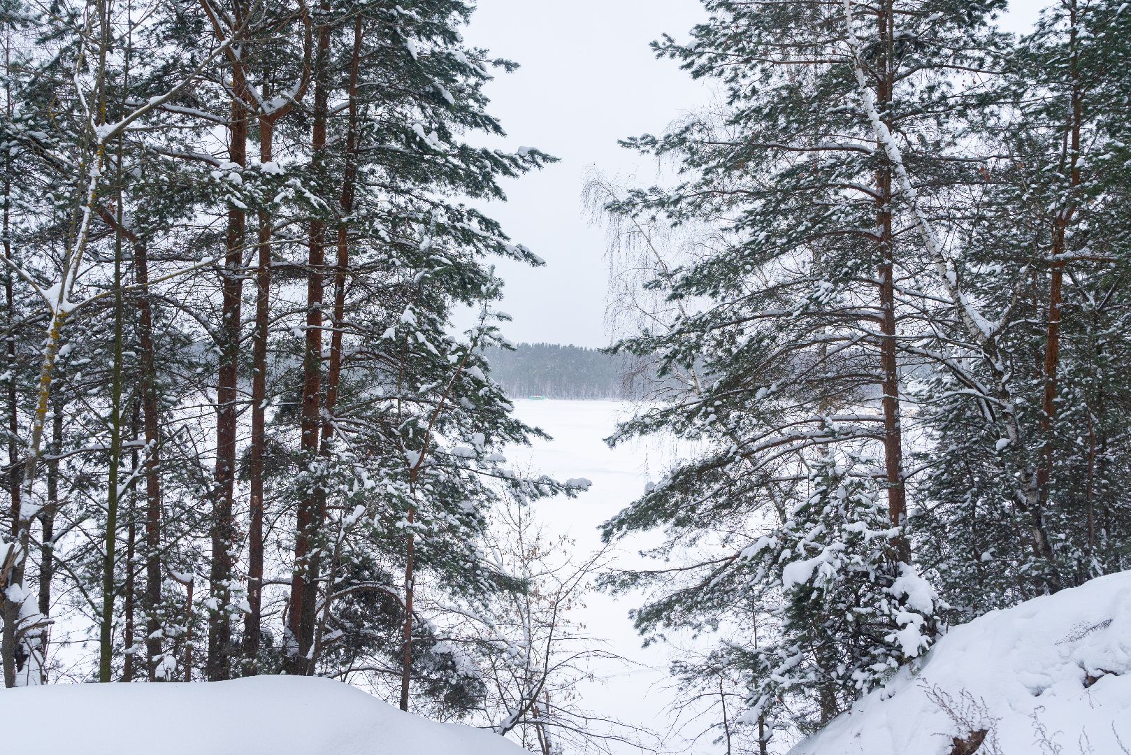 лыткарино, благоустройство, волкуша, лесопарк,