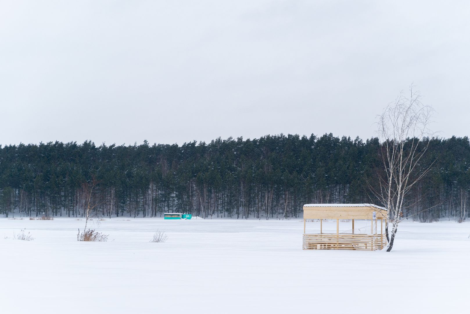 лыткарино, благоустройство, волкуша, лесопарк,