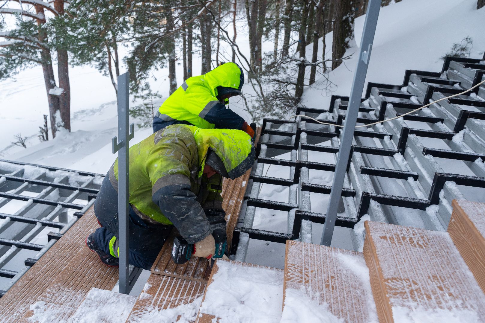 лыткарино, благоустройство, волкуша, лесопарк,