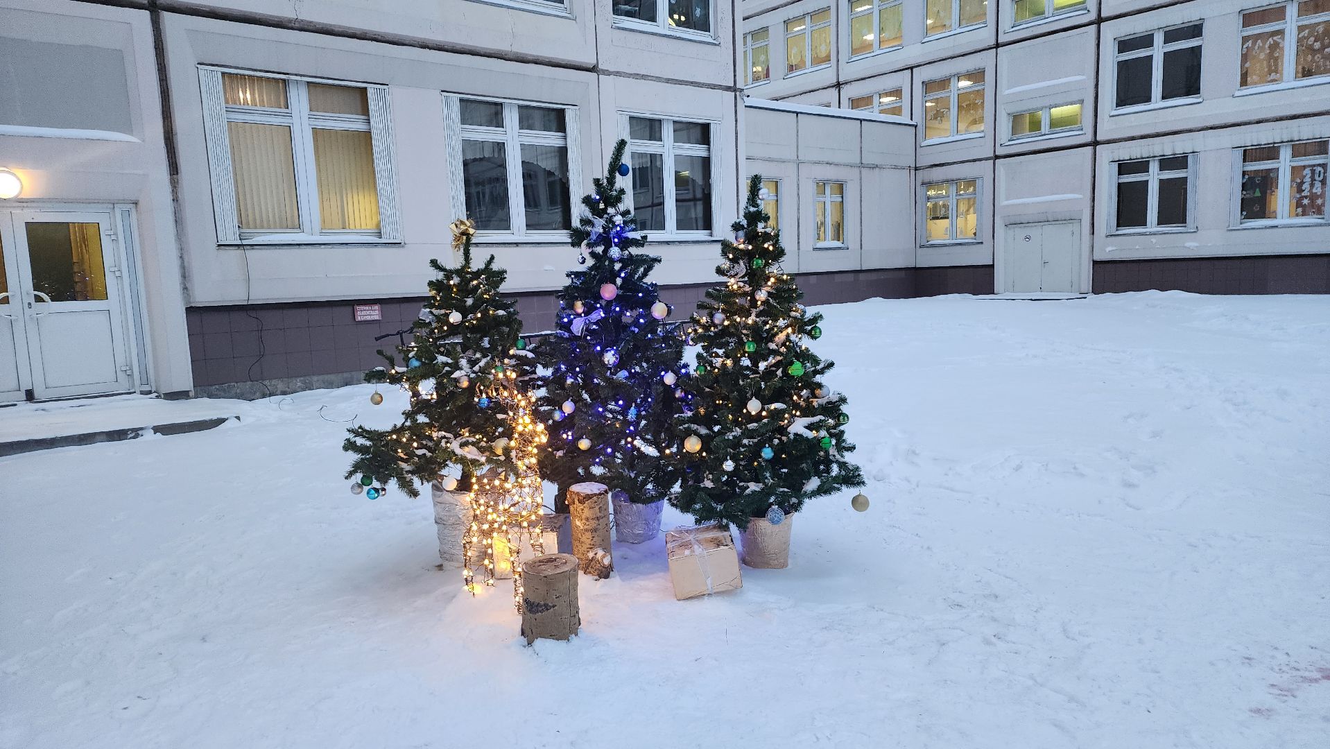 Подмосковье, Городской округ Пушкинский, Ивантеевка, образование, юбилей школы,