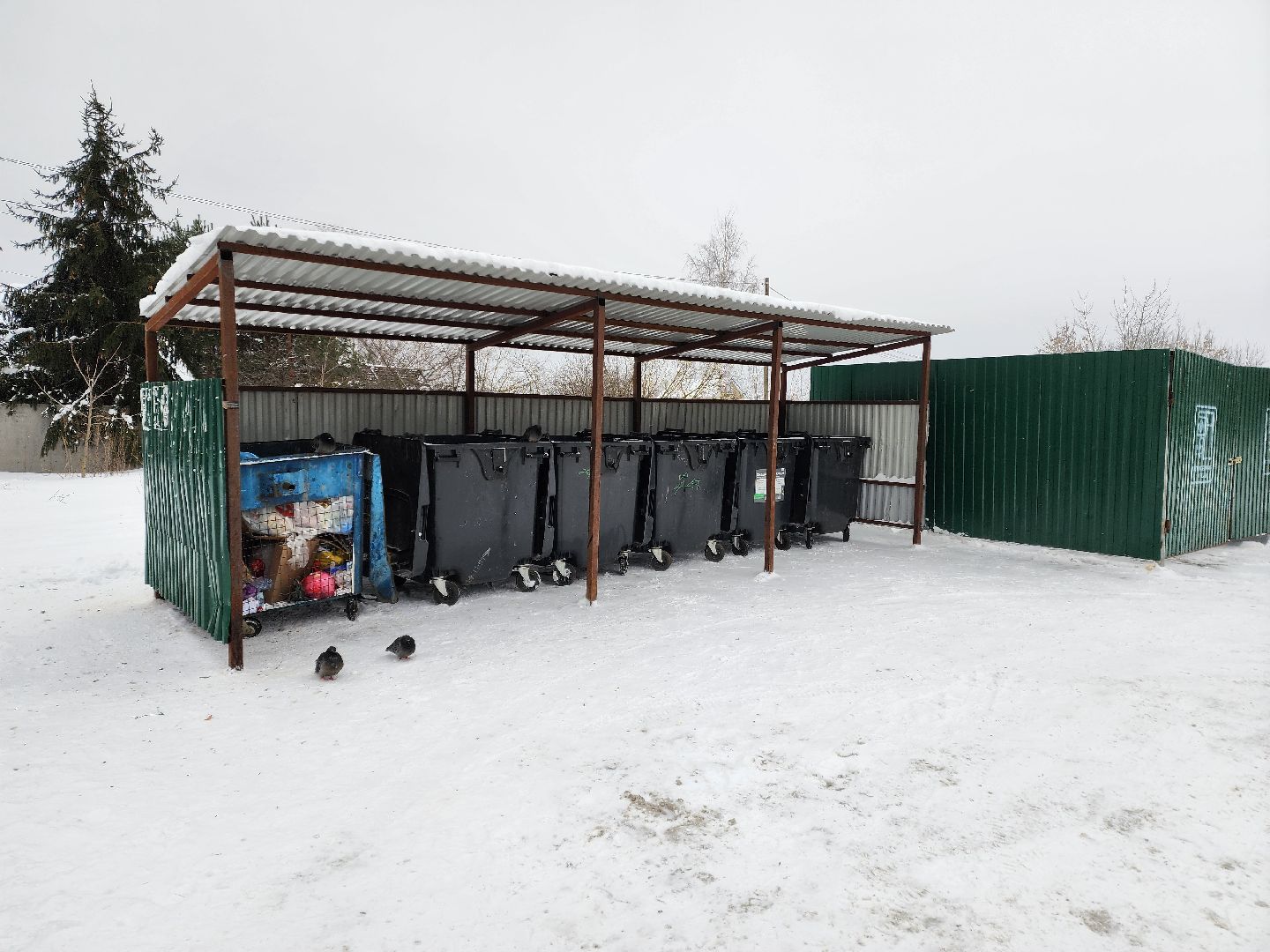 раменское, жкх, контейнерная площадка, Усадьба СпецСМУ,