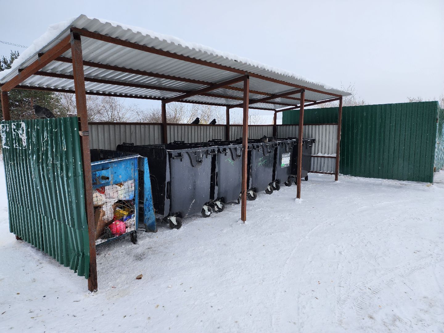 раменское, жкх, контейнерная площадка, Усадьба СпецСМУ,