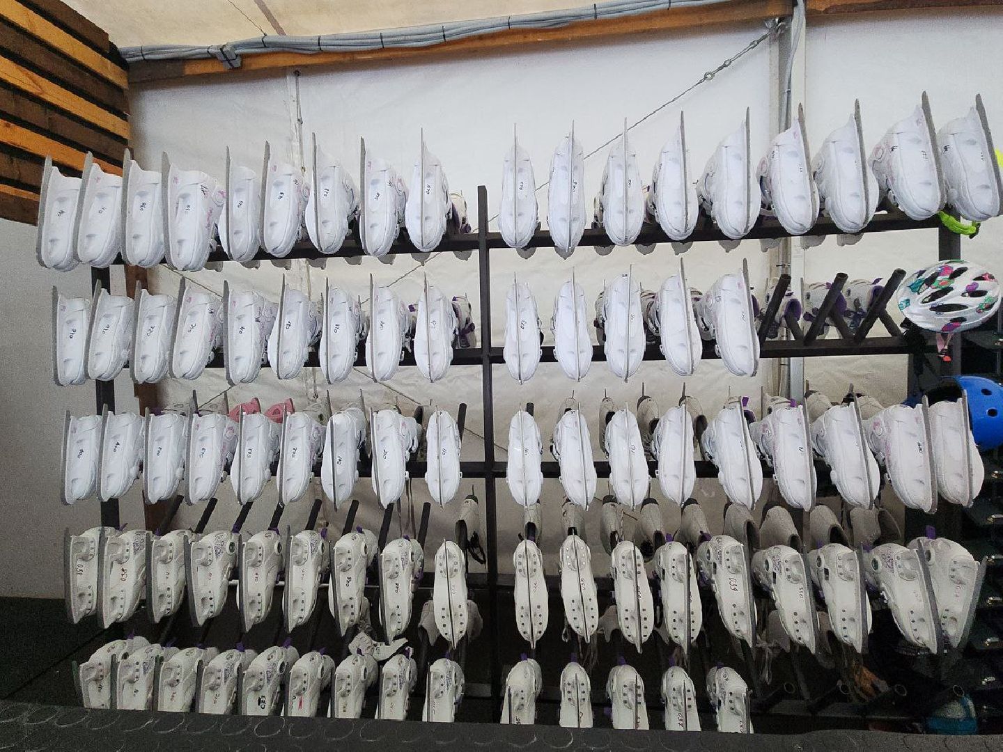 каток, спорт, досуг, развлекательная программа,