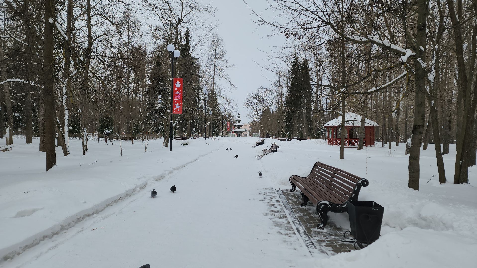 воскресенск, зима в подмосковье, новый год, парки подмосковья, кривякино, москворецкий,