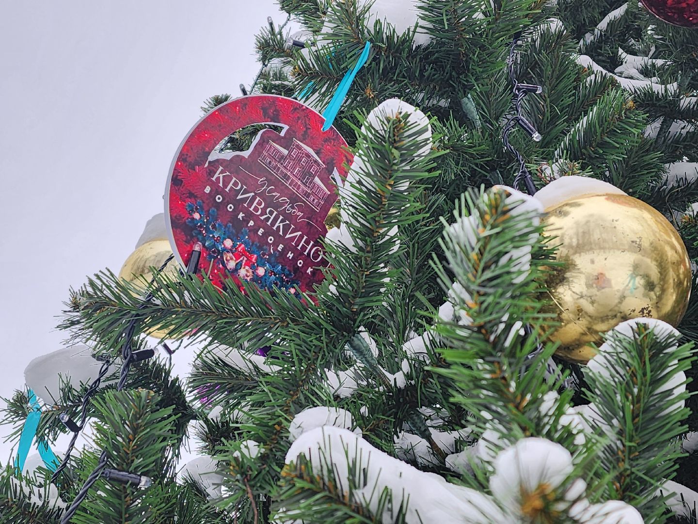 воскресенск, зима в подмосковье, новый год, парки подмосковья, кривякино, москворецкий,