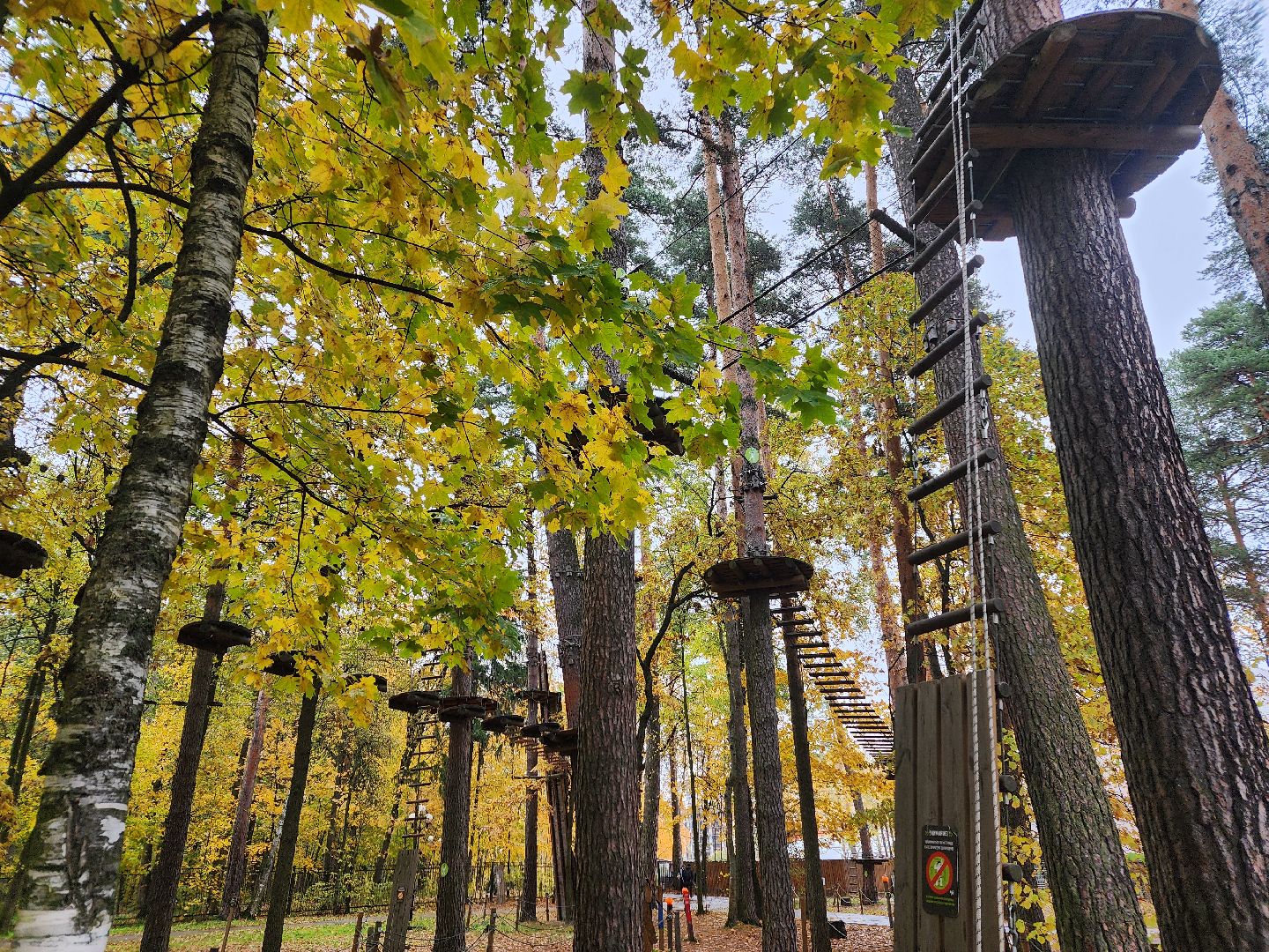 видео с коптера,