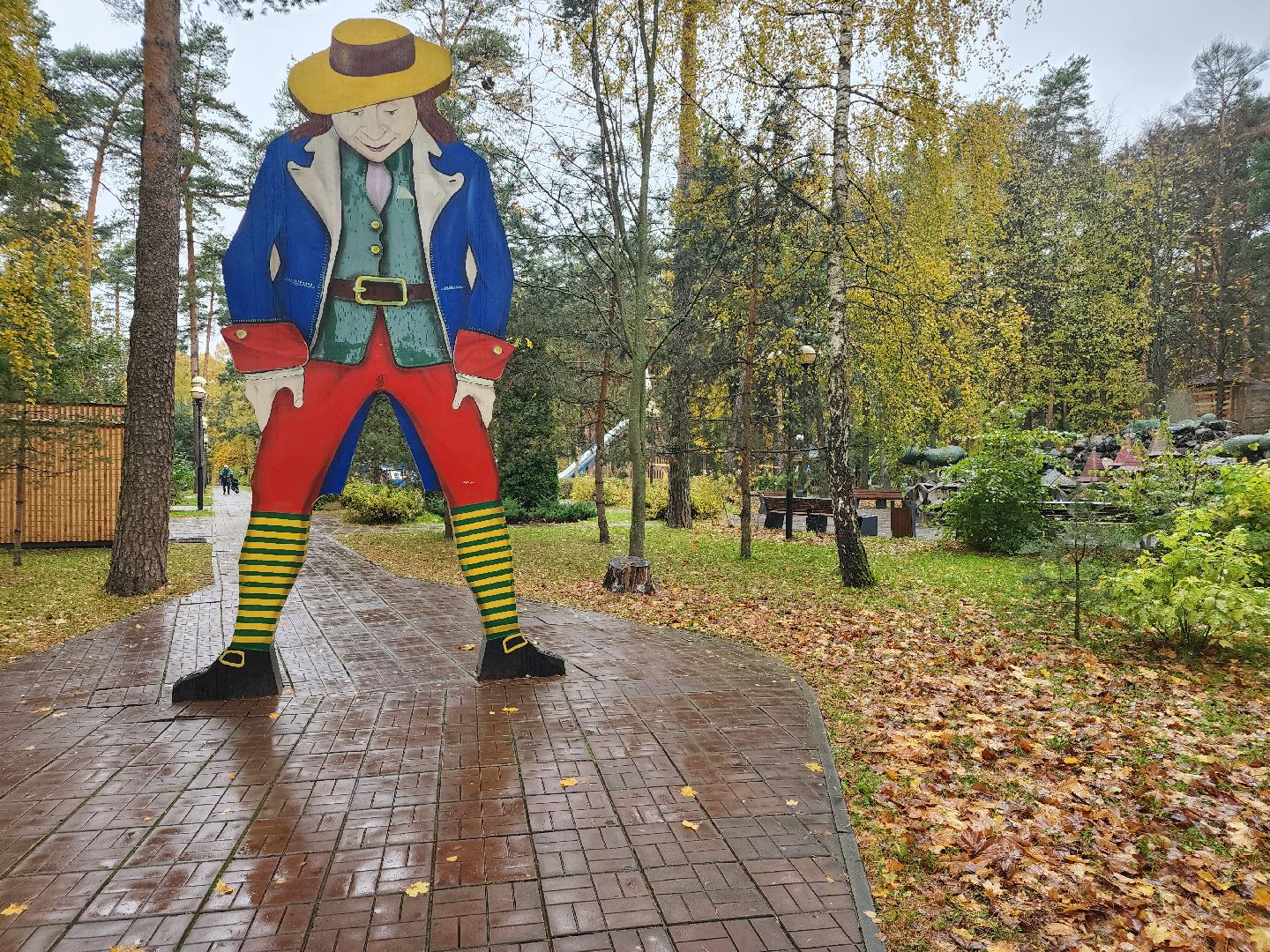 видео с коптера,