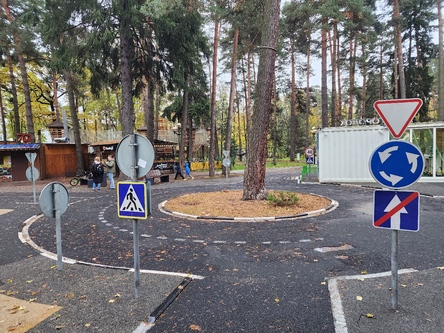 видео с коптера,