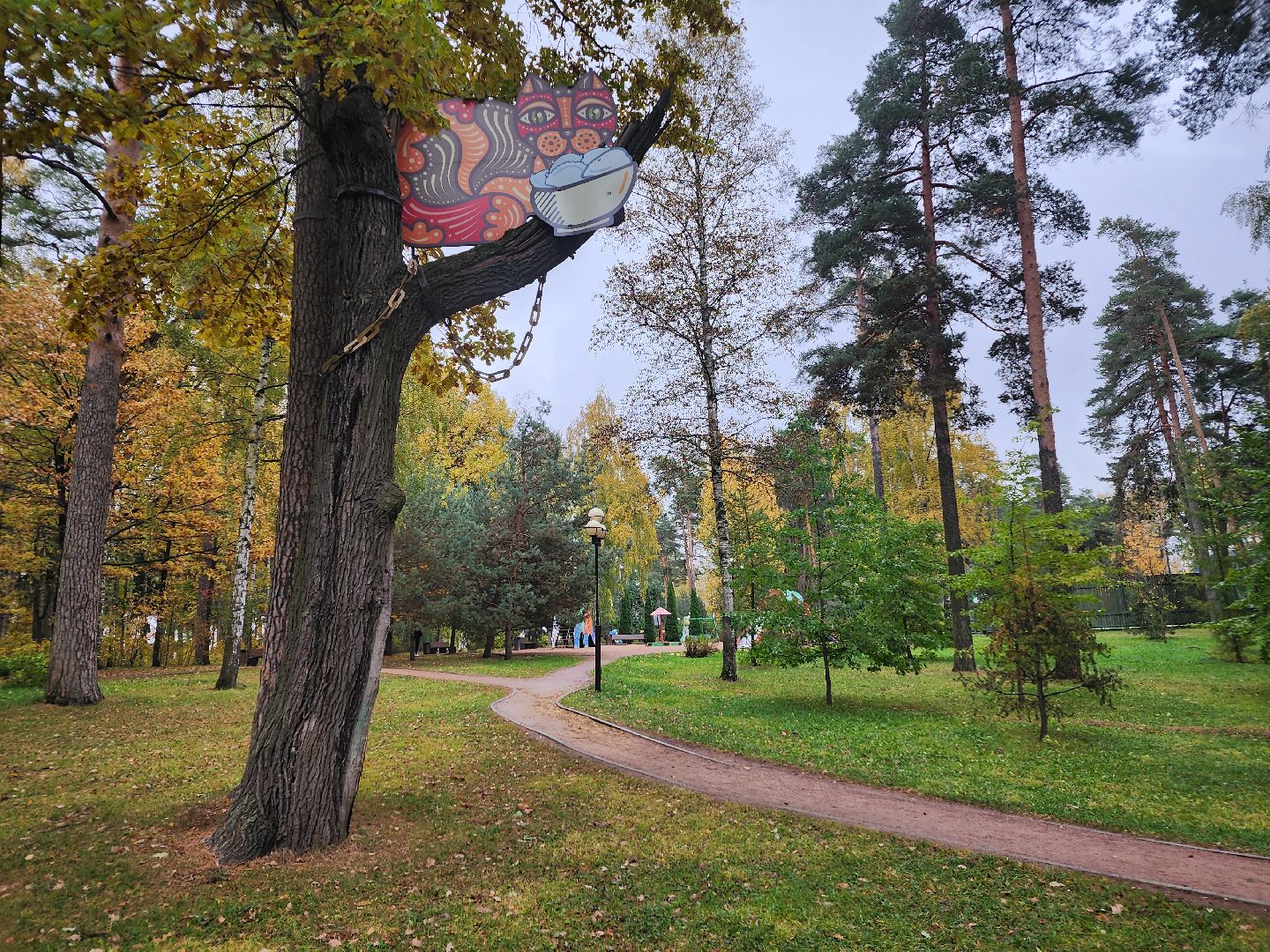 видео с коптера,