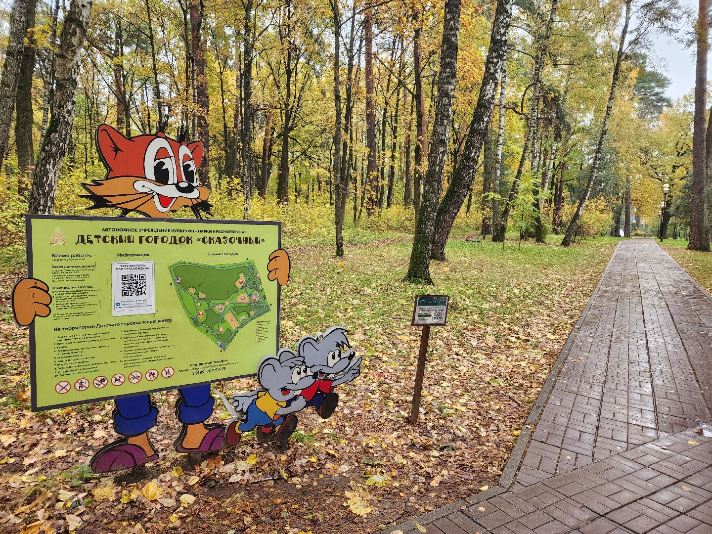 видео с коптера,