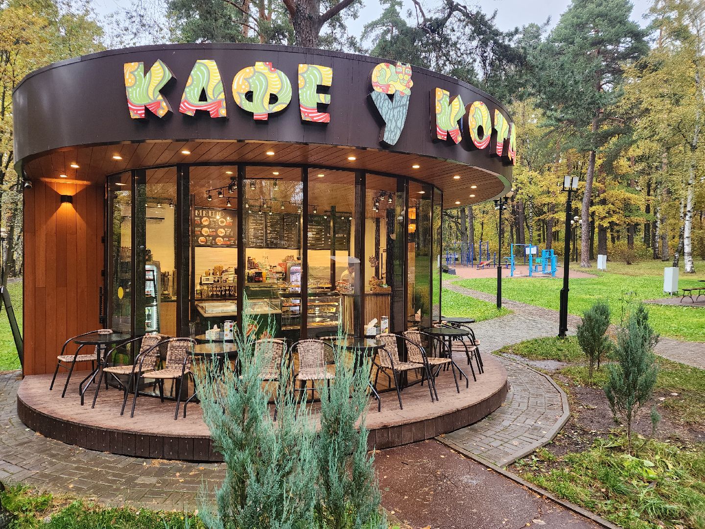 видео с коптера,