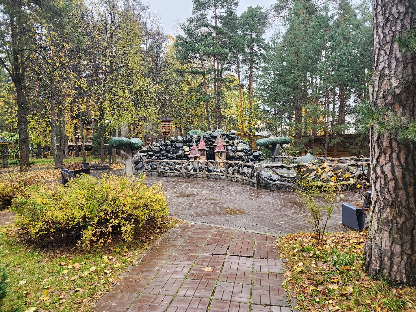 видео с коптера,