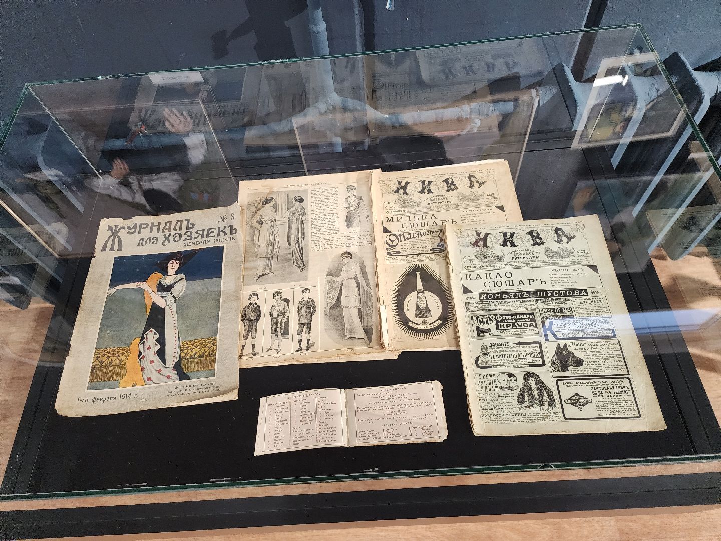 серпухов, подмосковье, МВЦ, выставка, ну и типы,