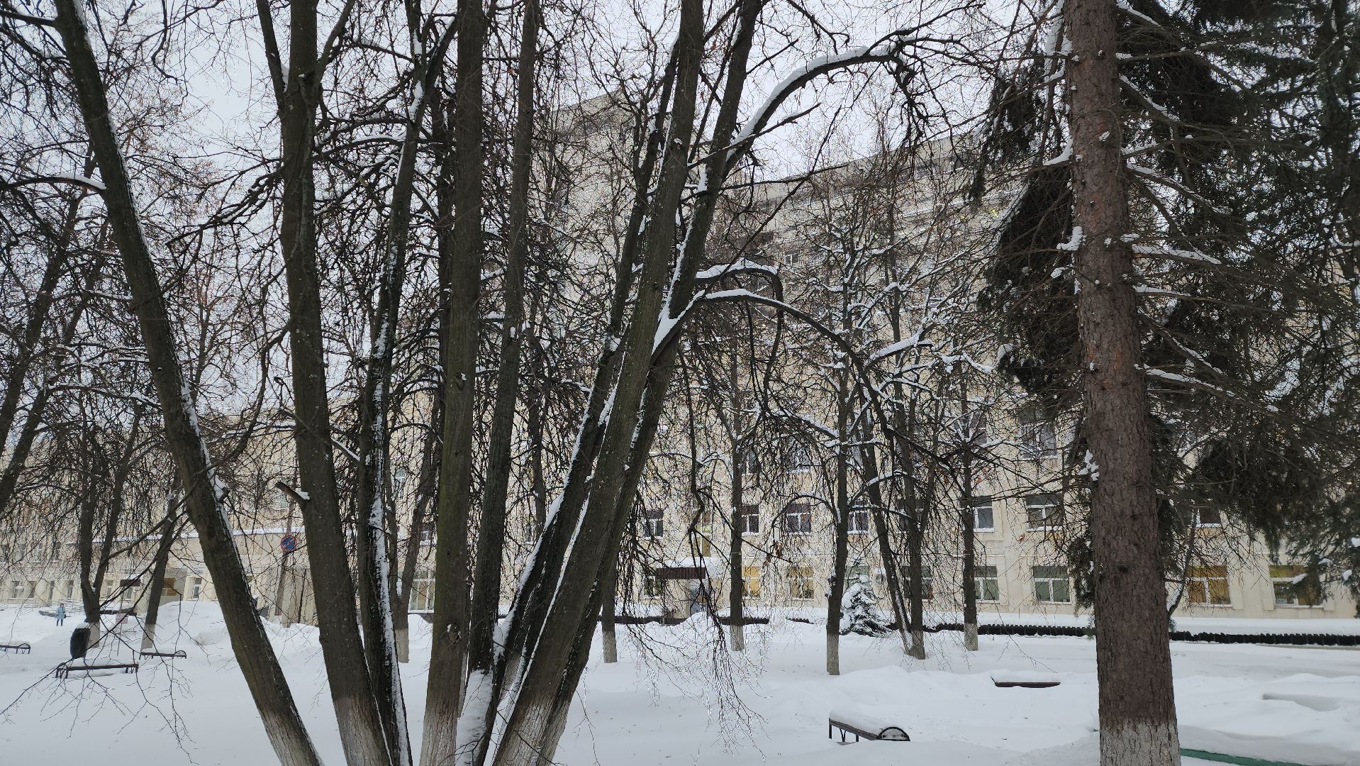 голосование, акушер гинеколог, Жуковская ОКБ, Семенов, лучший специалист,