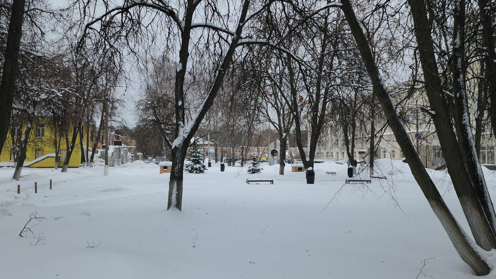 голосование, акушер гинеколог, Жуковская ОКБ, Семенов, лучший специалист,