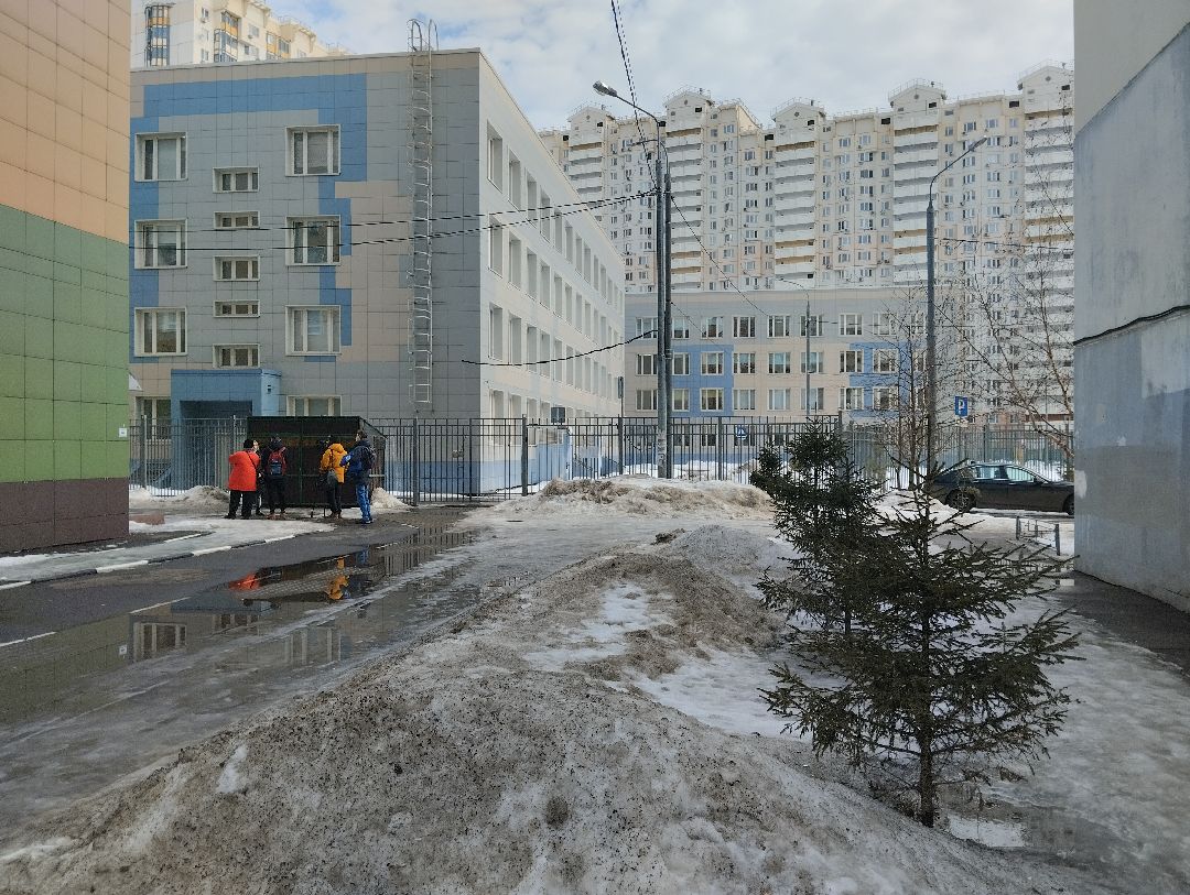 Озеленение, благоустройство